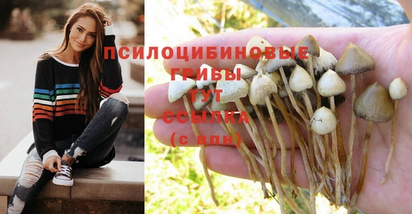 стафф Наволоки