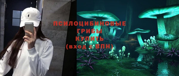 ALPHA PVP Надым