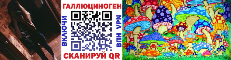 закладка  Данков  Псилоцибиновые грибы Magic Shrooms 
